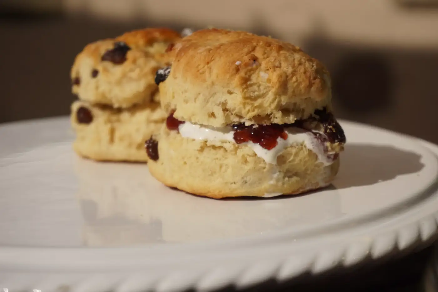 Scones fresh from this morning's batch